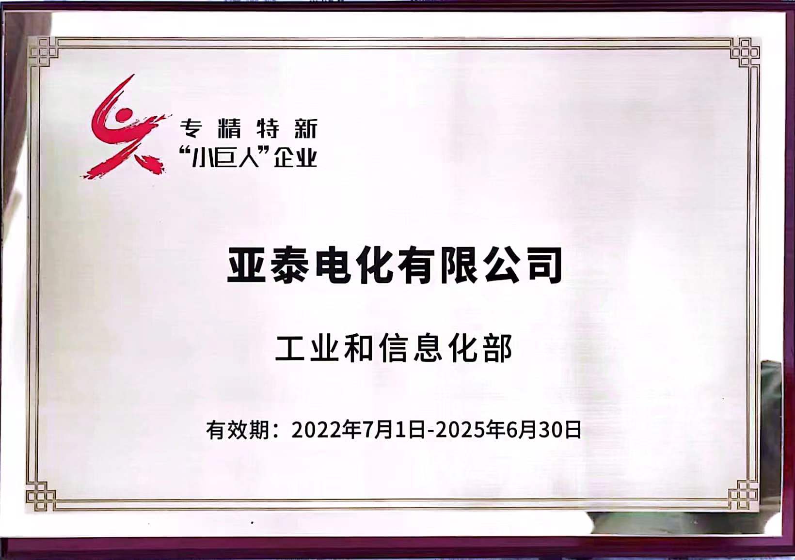 國家級專精特新小巨人企業